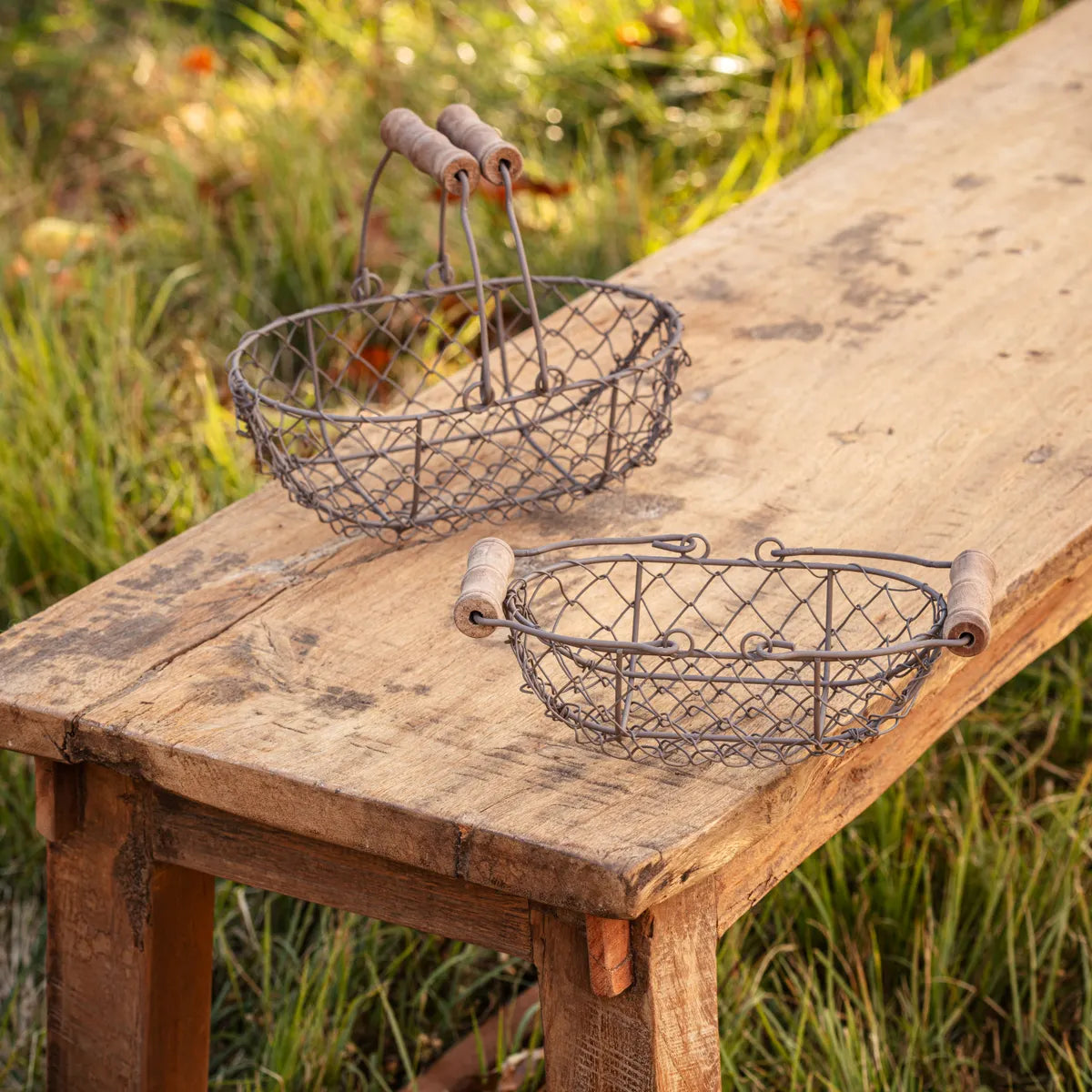 Wire Quail Egg Basket- Mini