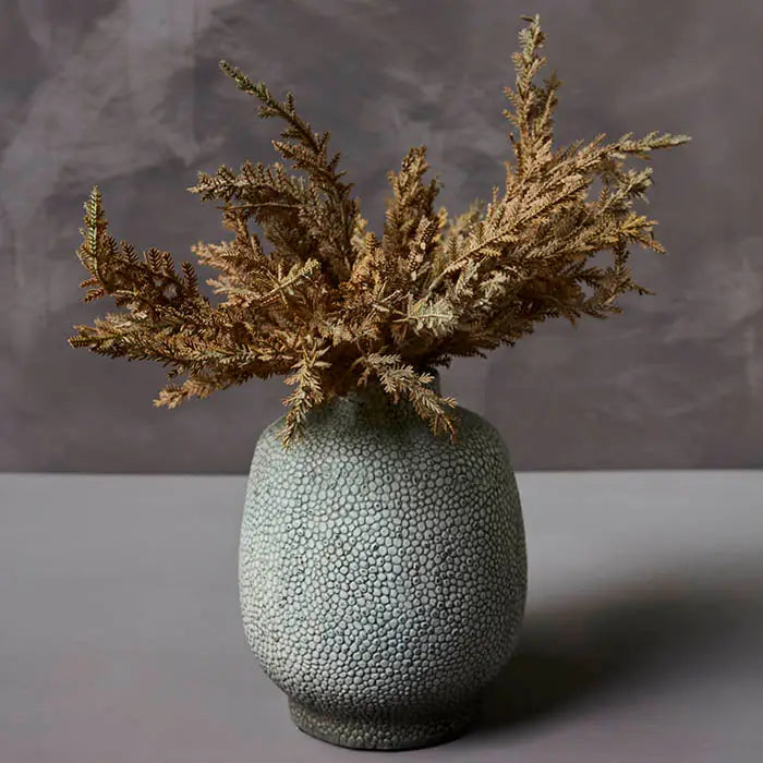 Senicio Sunset Stem