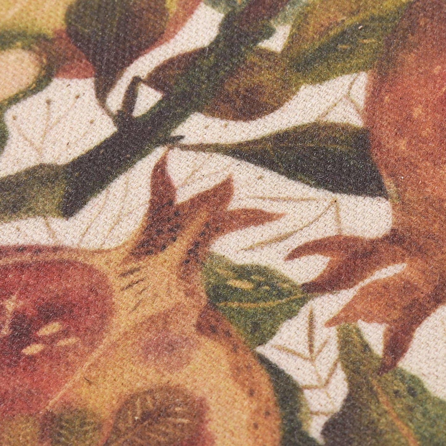 Fig Canvas Pouch