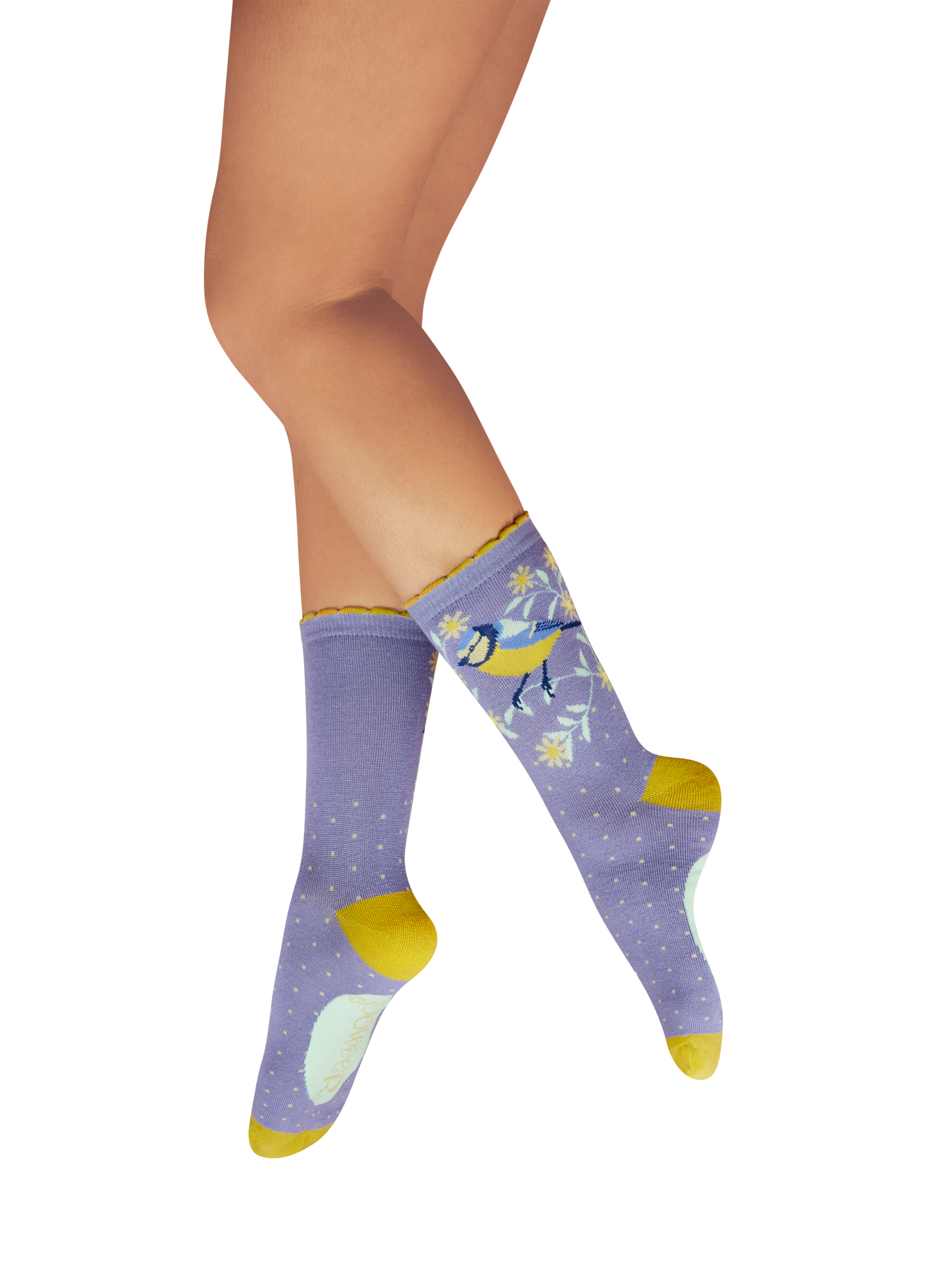 Blooming Blue Bird Ladies Socks