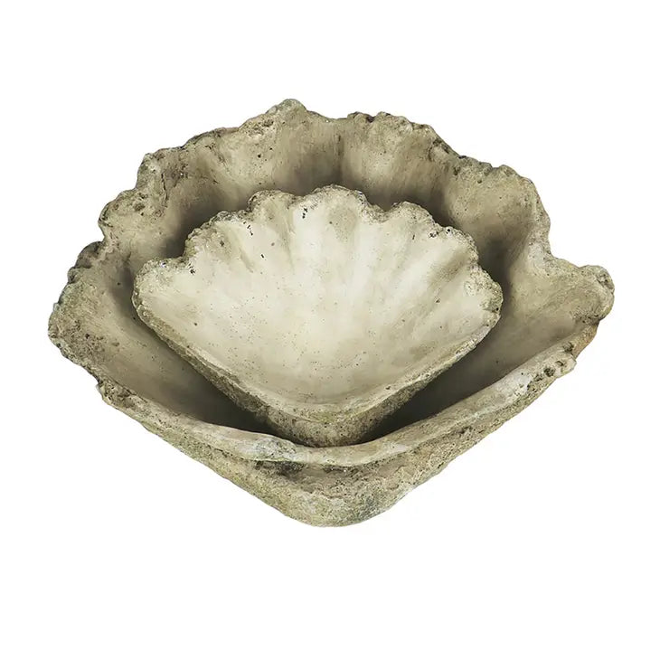 Large Cast Concrete Clam Shell