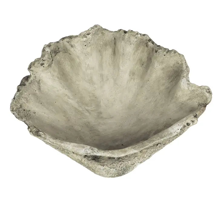 Large Cast Concrete Clam Shell