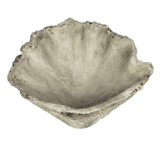 Small Cast Concrete Clam Shell