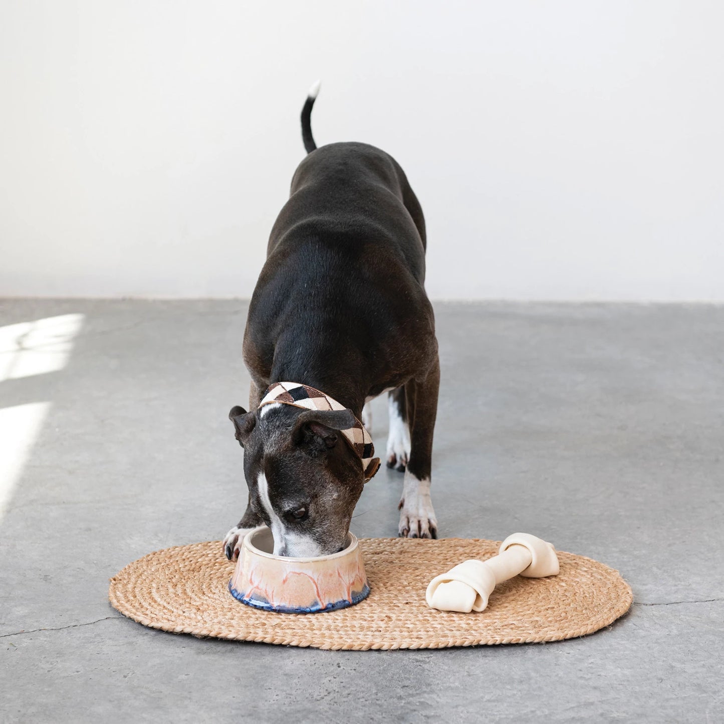 Stoneware Pet Bowl, Reactive Glaze