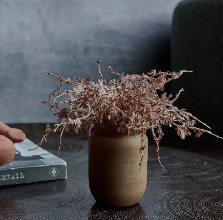 Senecio Cineraria In Pot - Artificial Plant