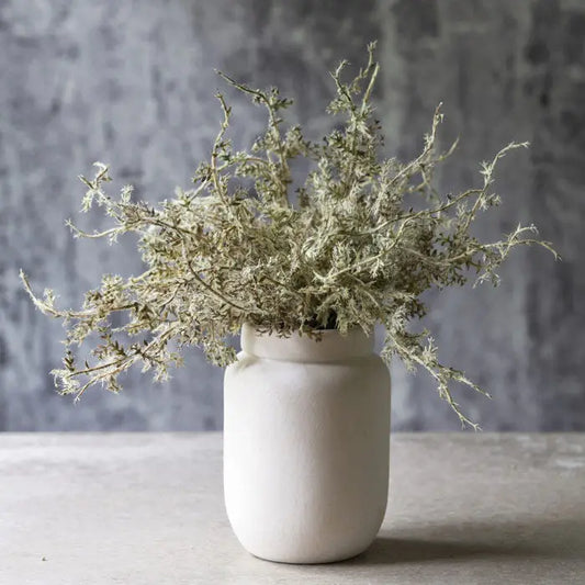 Senecio Cineraria Faux Plant in Pot - Sage Green