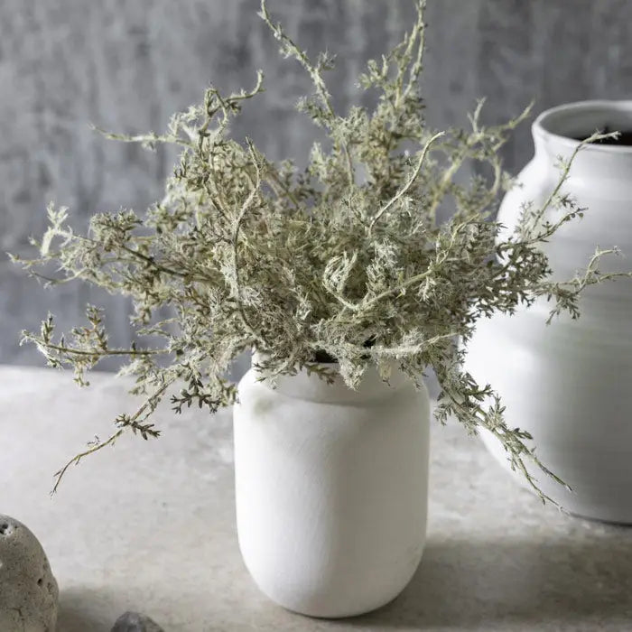 Senecio Cineraria Faux Plant in Pot - Sage Green